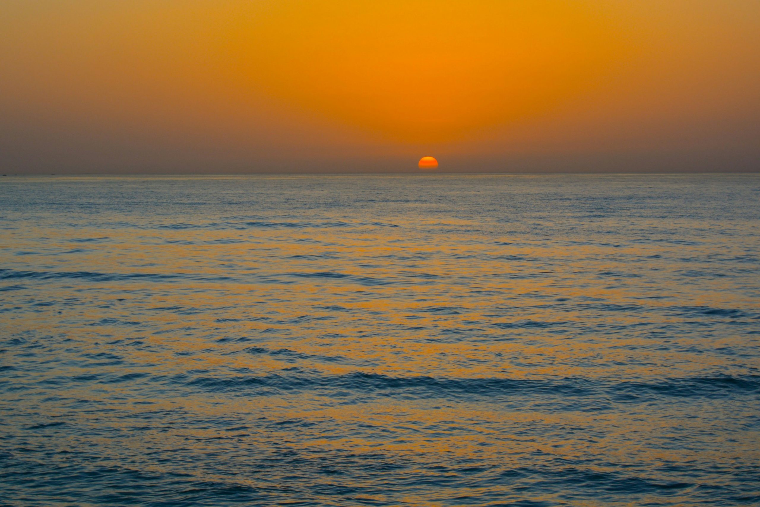 mediterrannée
